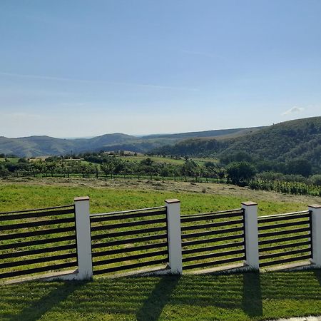 Vila Aloman Sebeş 외부 사진
