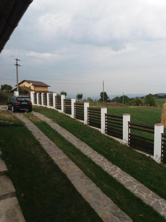 Vila Aloman Sebeş 외부 사진