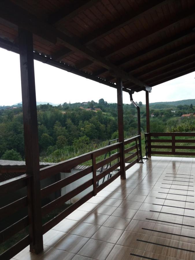 Vila Aloman Sebeş 외부 사진