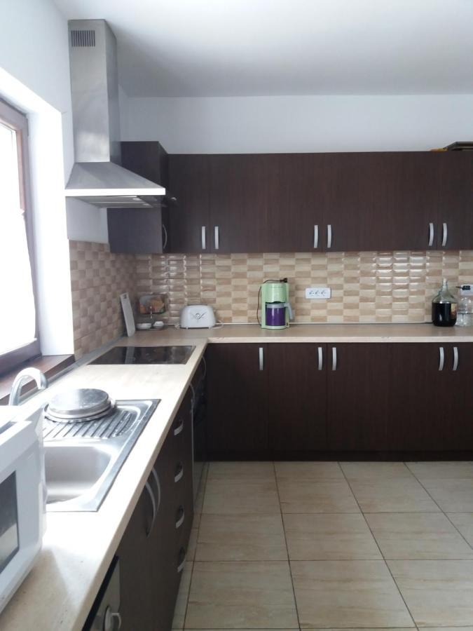 Vila Aloman Sebeş 외부 사진