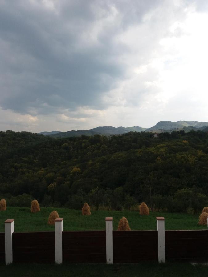 Vila Aloman Sebeş 외부 사진