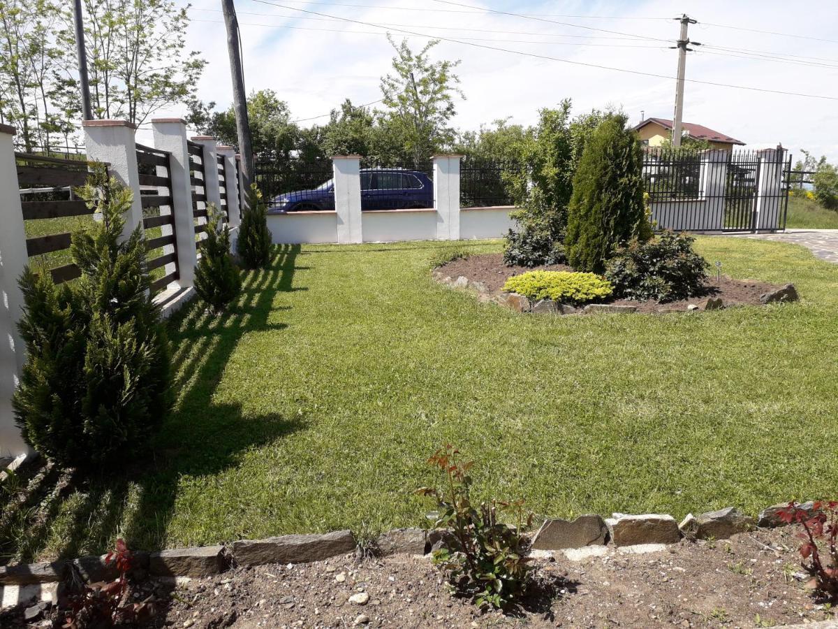 Vila Aloman Sebeş 외부 사진
