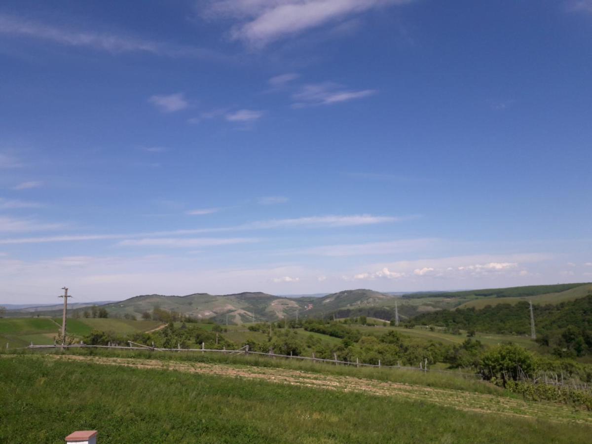 Vila Aloman Sebeş 외부 사진