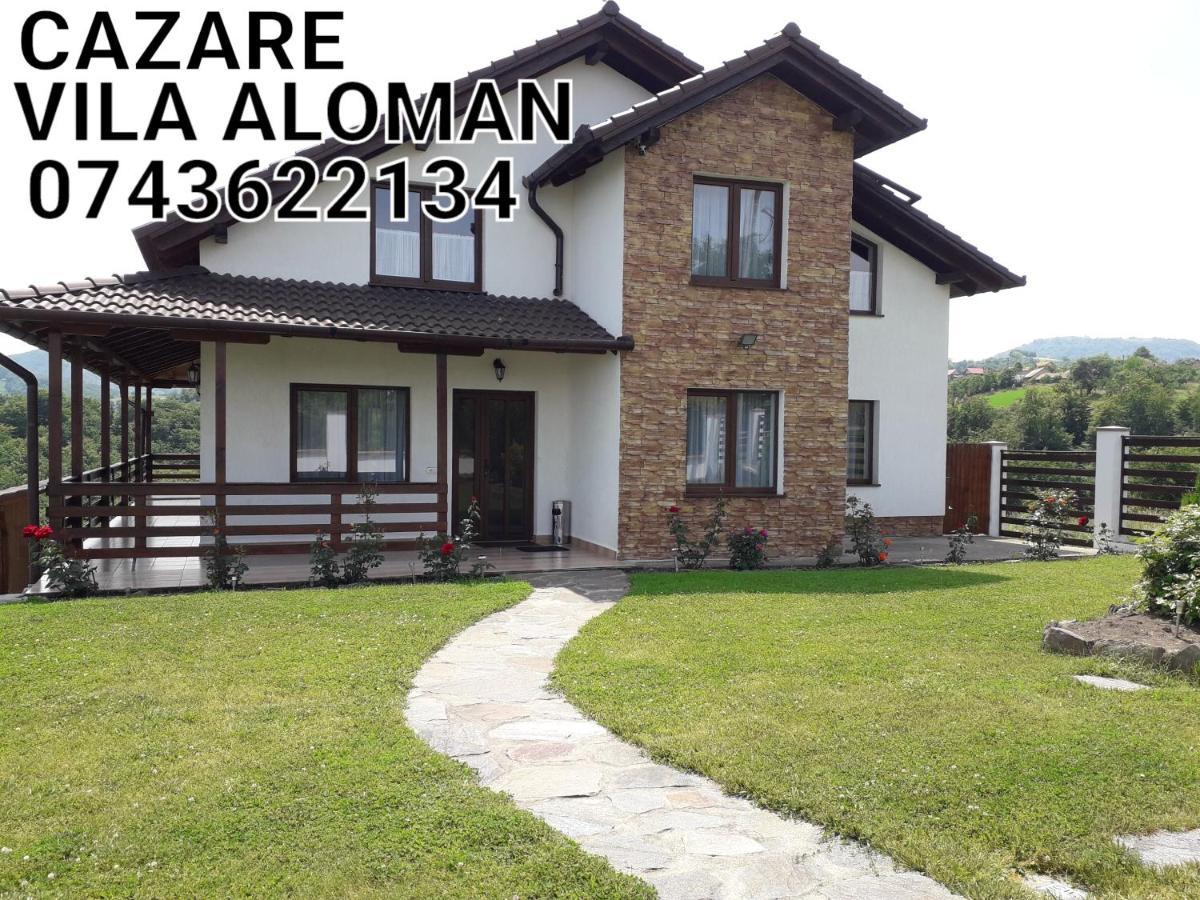 Vila Aloman Sebeş 외부 사진