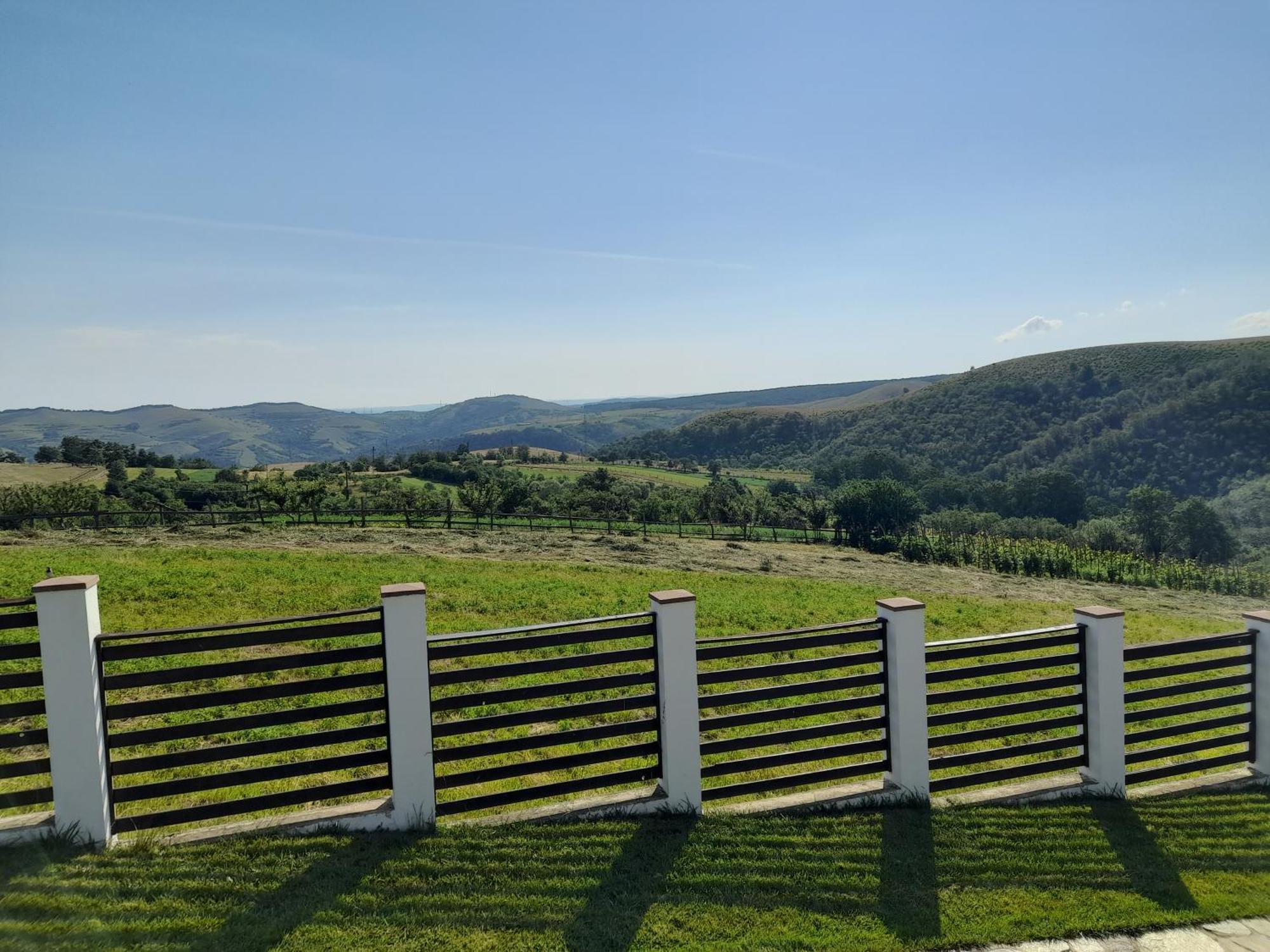 Vila Aloman Sebeş 외부 사진