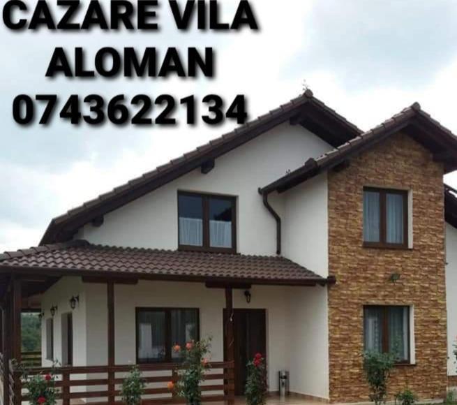Vila Aloman Sebeş 객실 사진